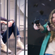 Grant Gustin, Jes Macallan